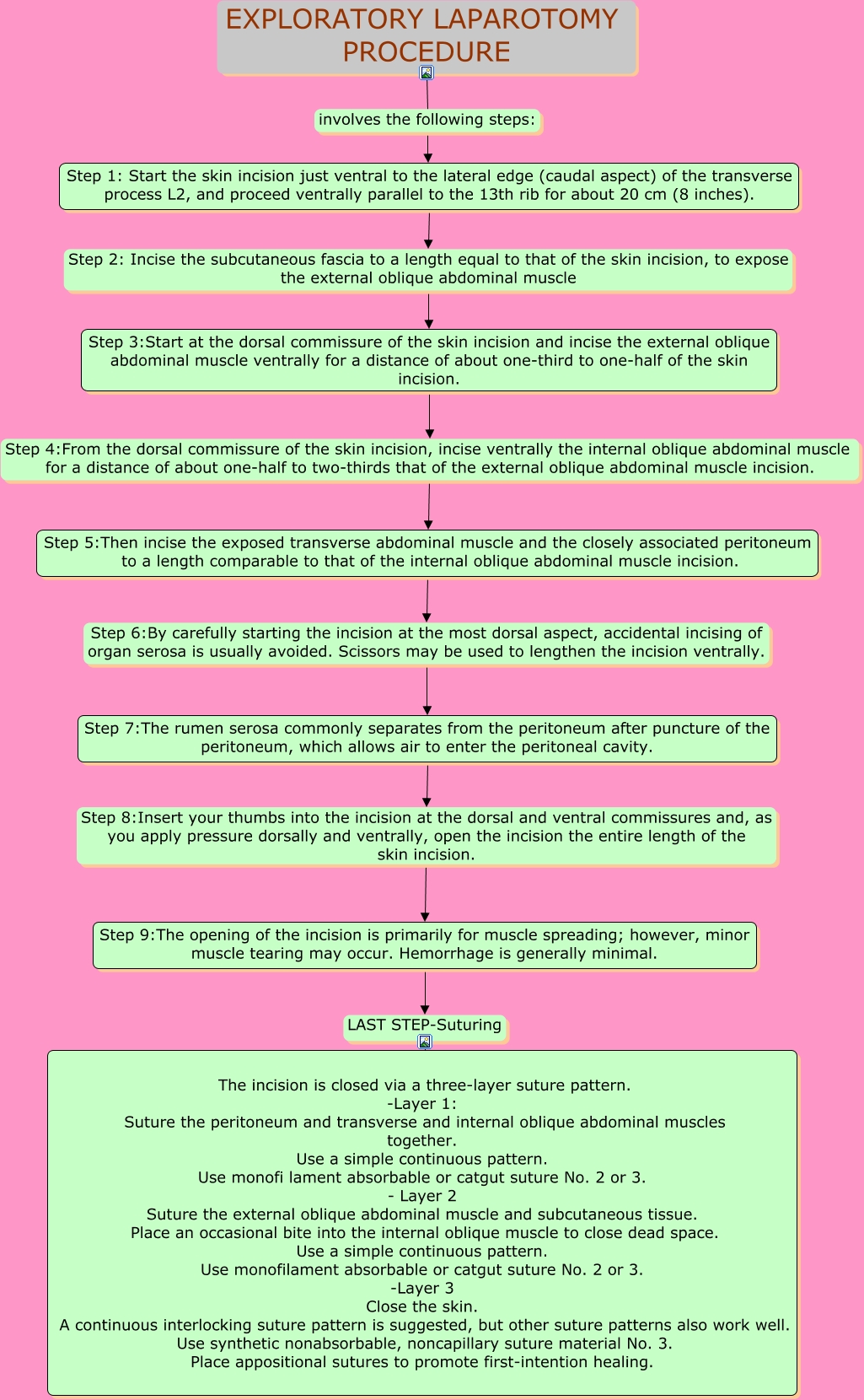 Exploratory laparotomy procedure